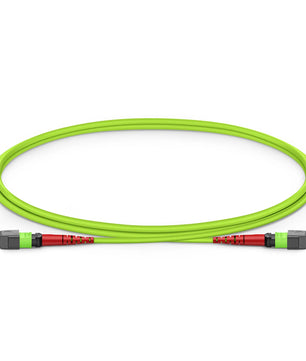 MTP® Jumper, MTP®-24 UPC (Female) to MTP®-24 UPC (Female), 24 Fibers, Multimode (OM4), Plenum (OFNP), 0.35dB Max, Type A