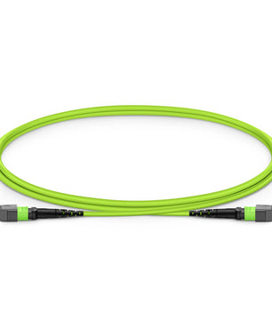 Customized MTP® Jumper, MTP®-12 APC (Female) to MTP®-12 APC (Female), 12 Fibers, Single Mode (OS2), Plenum (OFNP), 0.35dB Max, Type B
