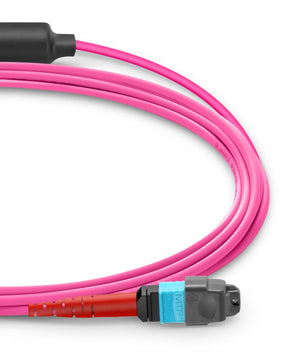 MTP® Breakout Cable, MTP®-24 UPC (Female) to 3 x MTP®-8 UPC (Female), 24 Fibers, Multimode (OM4), Plenum (OFNP), 0.35dB Max, Type B