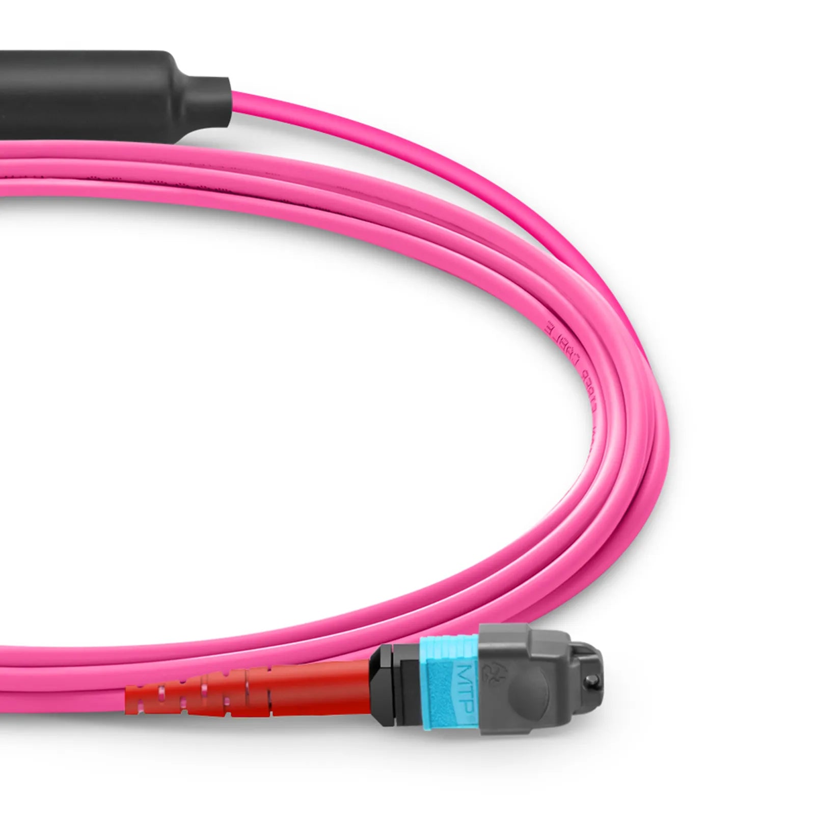 MTP® Breakout Cable, MTP®-24 UPC (Female) to 3 x MTP®-8 UPC (Female), 24 Fibers, Multimode (OM4), Plenum (OFNP), 0.35dB Max, Type B