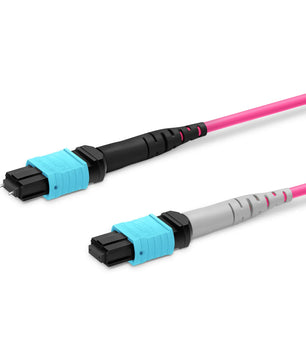 Customized Length MTP® Breakout Cable, 2 x MTP®-12 UPC (Male) to 3 x MTP®-8 UPC (Female), 24 Fibers, Multimode (OM4), Plenum (OFNP), 0.35dB Max, Type A