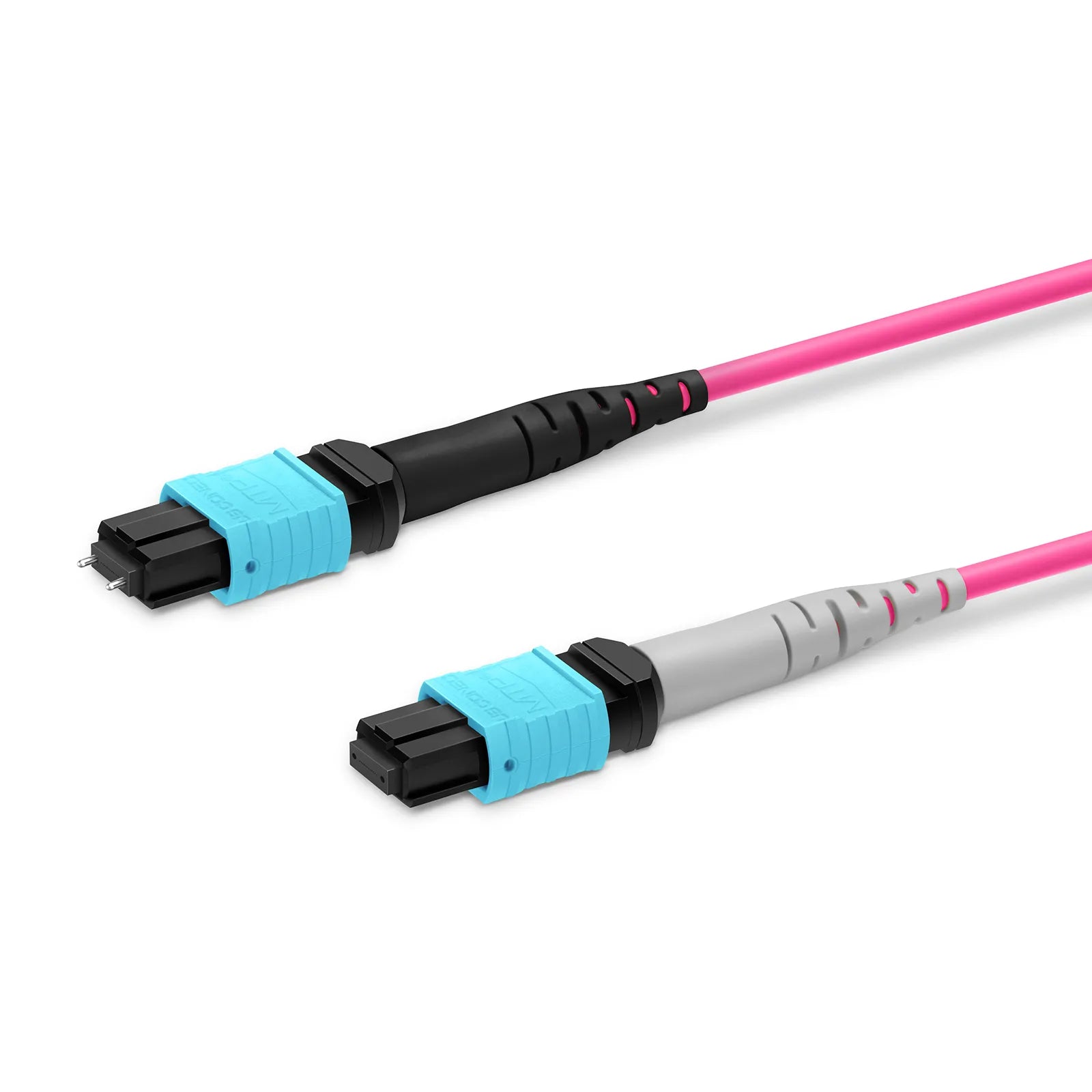 Customized Length MTP® Breakout Cable, 2 x MTP®-12 UPC (Male) to 3 x MTP®-8 UPC (Female), 24 Fibers, Multimode (OM4), Plenum (OFNP), 0.35dB Max, Type A