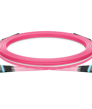 30m (98ft) MTP® Trunk Cable, MTP®-12 UPC (Female) to MTP®-12 UPC (Female), 48 Fibers, Multimode (OM4), Plenum (OFNP), 0.20dB Max, Type A, Double Jacket