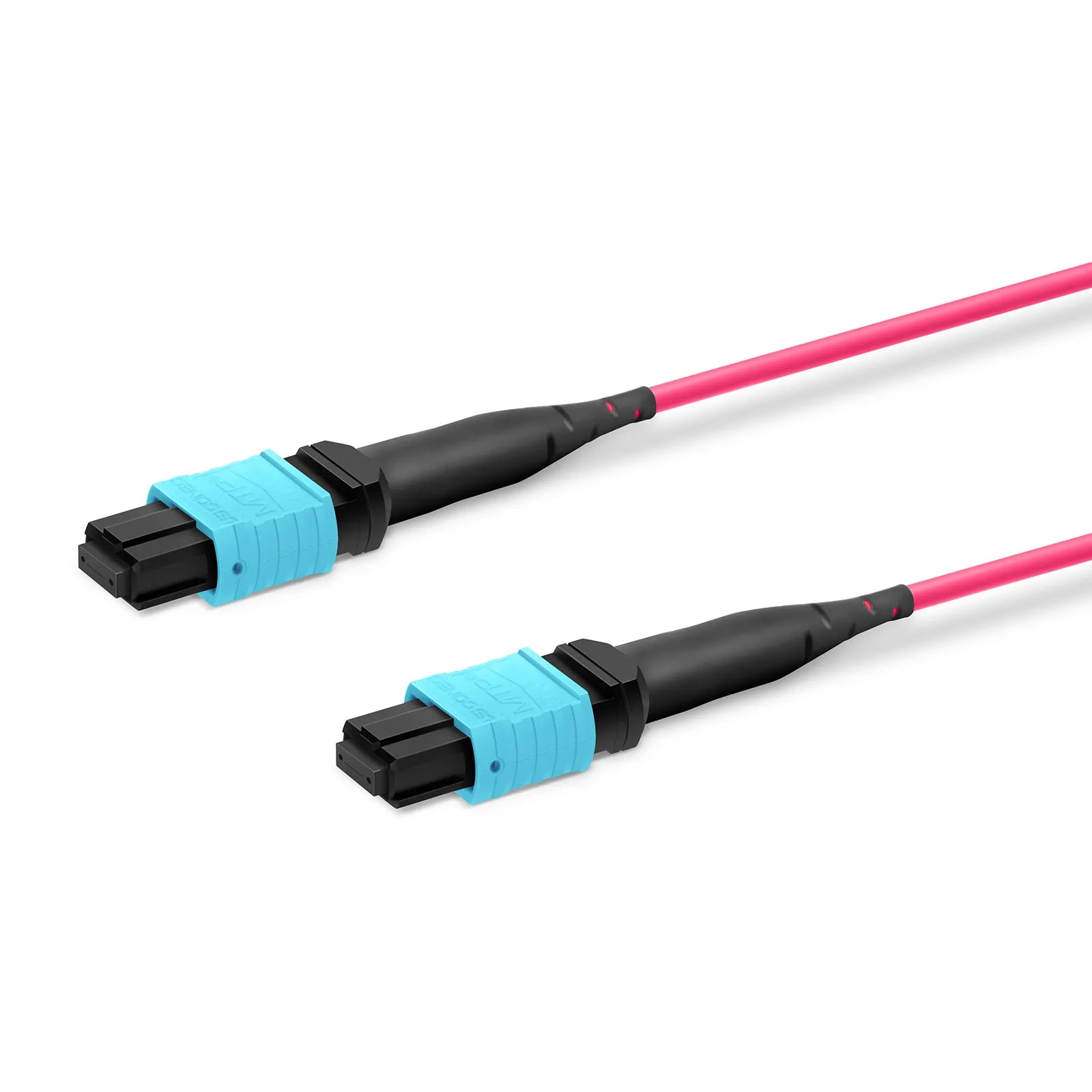 30m (98ft) MTP® Trunk Cable, MTP®-12 UPC (Female) to MTP®-12 UPC (Female), 48 Fibers, Multimode (OM4), Plenum (OFNP), 0.20dB Max, Type A, Double Jacket