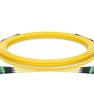 30m (98ft) MTP® Trunk Cable, MTP®-12 UPC (Female) to MTP®-12 UPC (Female), 48 Fibers, Multimode (OM4), Plenum (OFNP), 0.20dB Max, Type A, Double Jacket