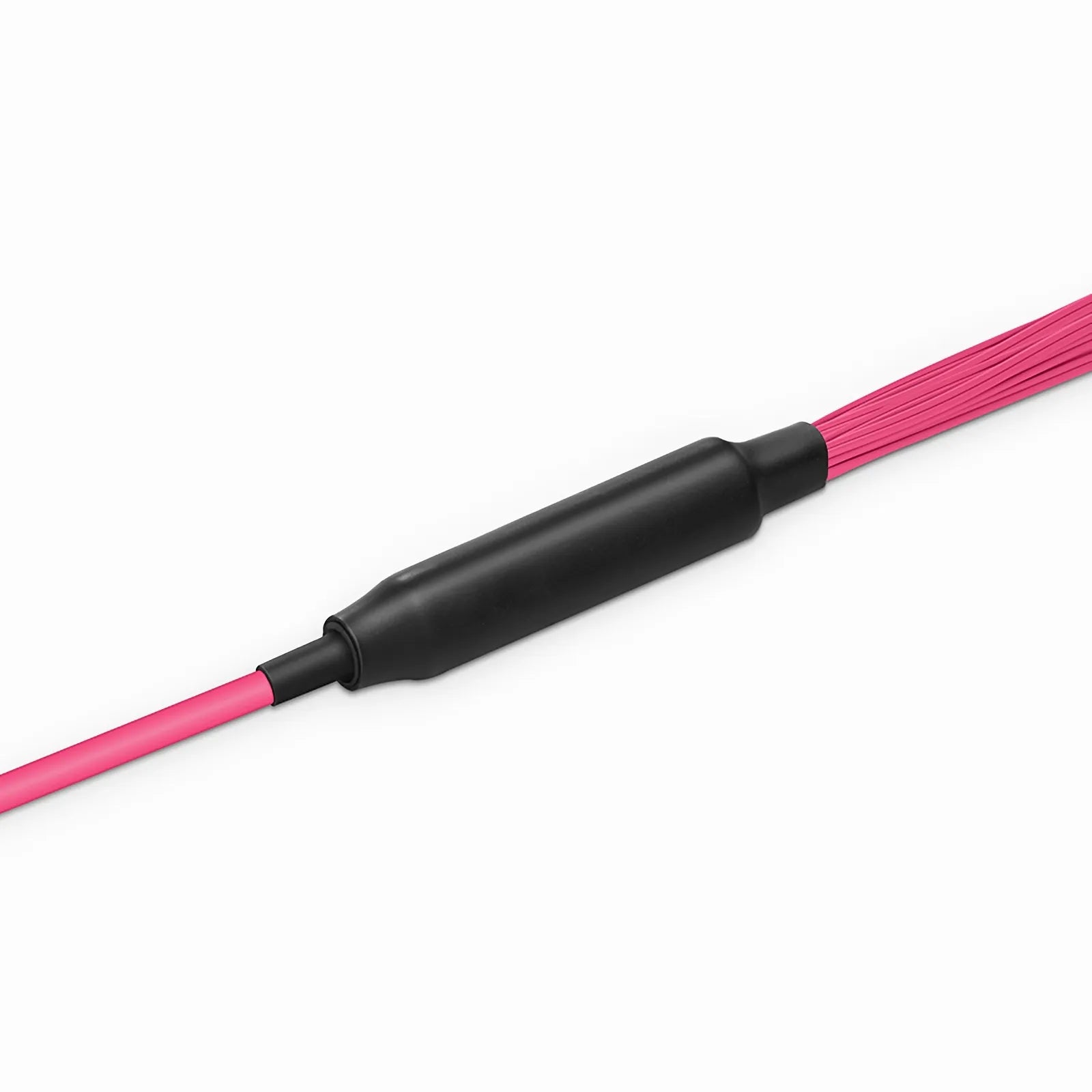30m (98ft) MTP® Hybrid Trunk Cable, MTP®-8 UPC (Female) to 4 LC UPC Duplex Uniboot, 32 Fibers, Multimode (OM4), Plenum (OFNP), 0.20dB Max, Type B, Double Jacket