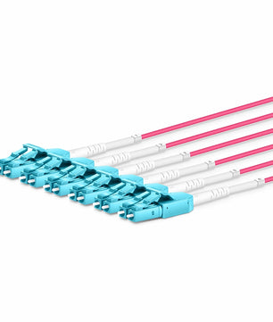 MTP® Hybrid Trunk Cable, MTP®-12 UPC (Female) to 6 LC UPC Duplex Uniboot, 48 Fibers, Multimode (OM4), Plenum (OFNP), 0.20dB Max, Type B, Double Jacket