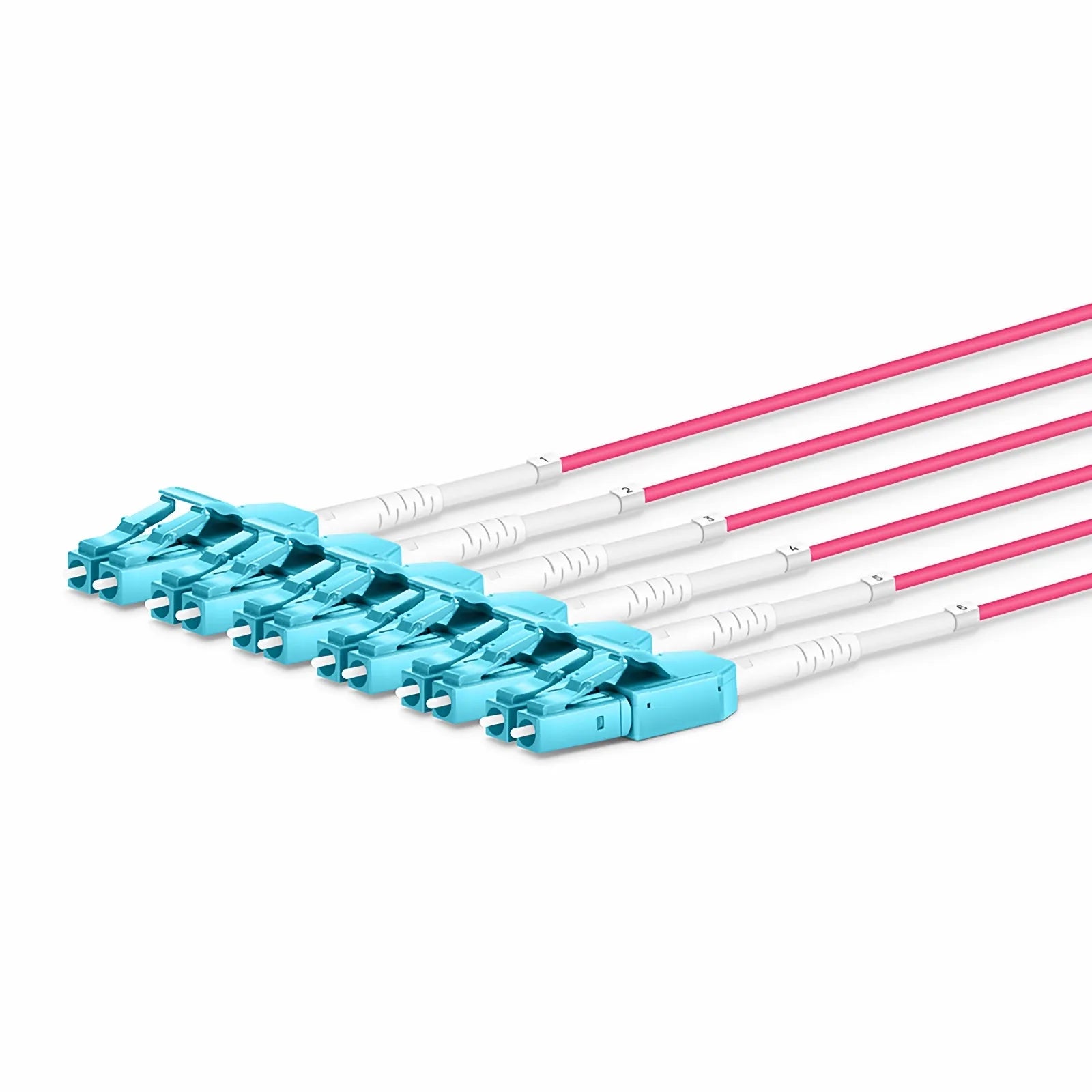 MTP® Hybrid Trunk Cable, MTP®-12 UPC (Female) to 6 LC UPC Duplex Uniboot, 48 Fibers, Multimode (OM4), Plenum (OFNP), 0.20dB Max, Type B, Double Jacket
