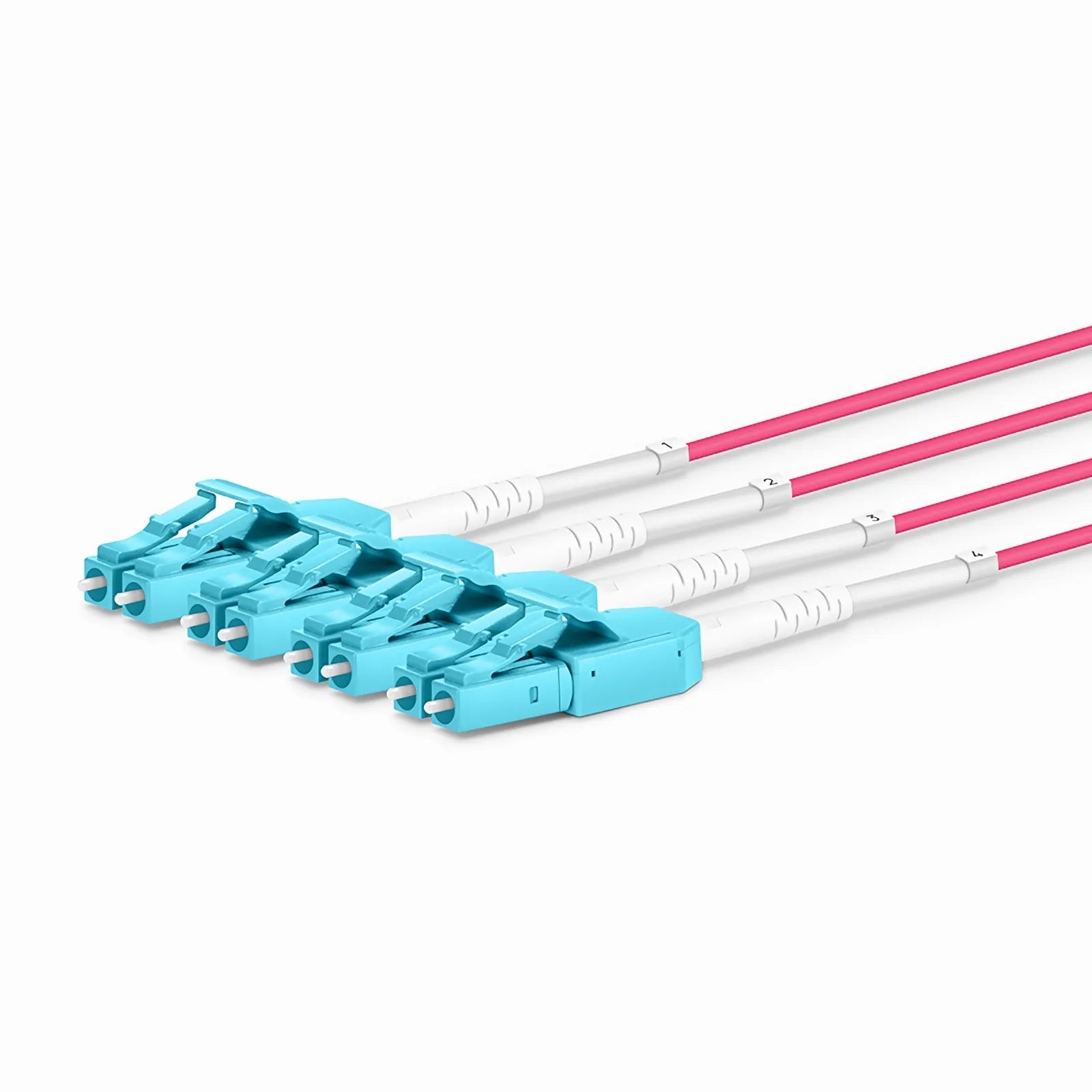 30m (98ft) MTP® Hybrid Trunk Cable, MTP®-8 UPC (Female) to 4 LC UPC Duplex Uniboot, 32 Fibers, Multimode (OM4), Plenum (OFNP), 0.20dB Max, Type B, Double Jacket