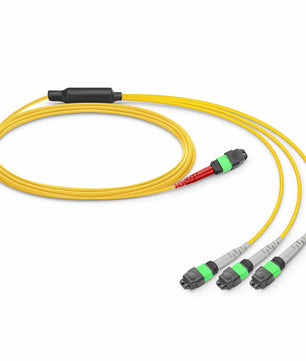 MTP® Breakout Cable, MTP®-24 UPC (Female) to 3 x MTP®-8 UPC (Female), 24 Fibers, Multimode (OM4), Plenum (OFNP), 0.35dB Max, Type B