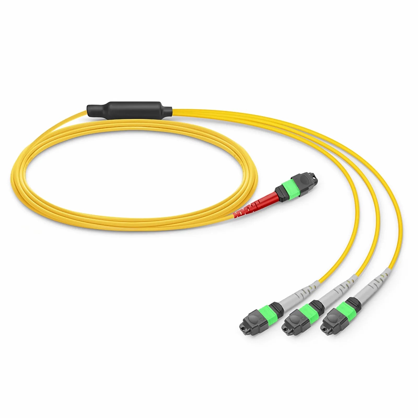 MTP® Breakout Cable, MTP®-24 UPC (Female) to 3 x MTP®-8 UPC (Female), 24 Fibers, Multimode (OM4), Plenum (OFNP), 0.35dB Max, Type B