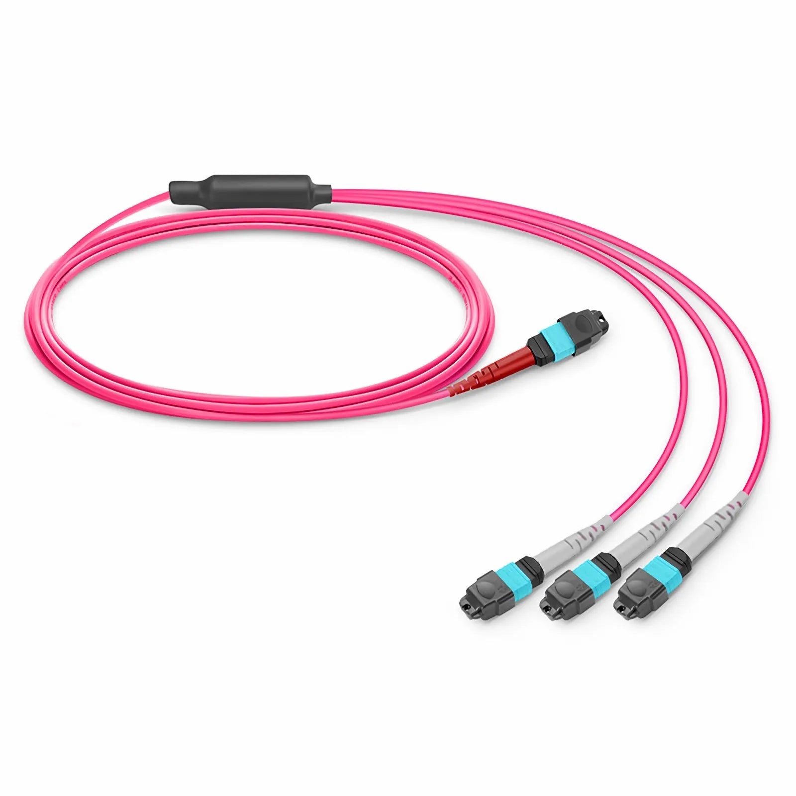 MTP® Breakout Cable, MTP®-24 UPC (Female) to 3 x MTP®-8 UPC (Female), 24 Fibers, Multimode (OM4), Plenum (OFNP), 0.35dB Max, Type B