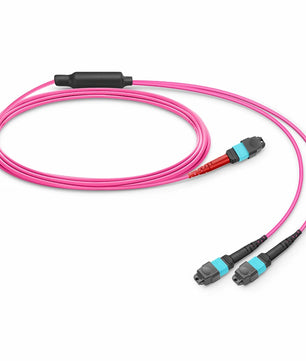 MTP® Breakout Cable, MTP®-24 UPC (Female) to 2 x MTP®-12 UPC (Female), 24 Fibers, Multimode (OM4), Plenum (OFNP), 0.35dB Max, Type A