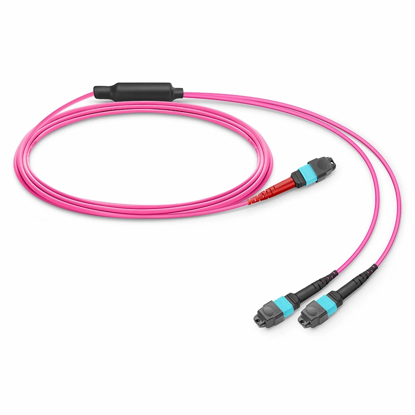 MTP® Breakout Cable, MTP®-24 UPC (Female) to 2 x MTP®-12 UPC (Female), 24 Fibers, Multimode (OM4), Plenum (OFNP), 0.35dB Max, Type A