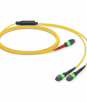 MTP® Breakout Cable, MTP®-24 UPC (Female) to 2 x MTP®-12 UPC (Female), 24 Fibers, Multimode (OM4), Plenum (OFNP), 0.35dB Max, Type A
