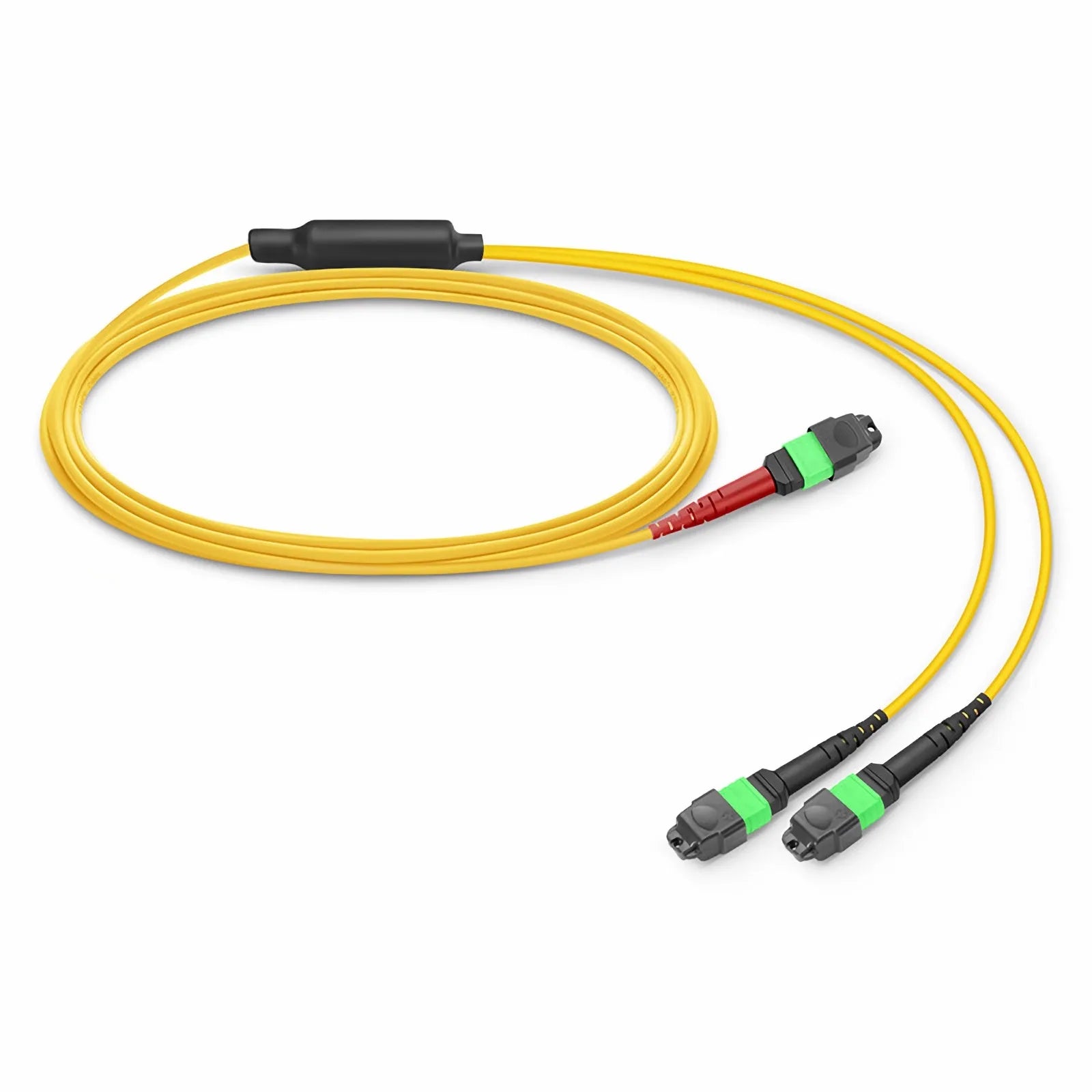 MTP® Breakout Cable, MTP®-24 UPC (Female) to 2 x MTP®-12 UPC (Female), 24 Fibers, Multimode (OM4), Plenum (OFNP), 0.35dB Max, Type A