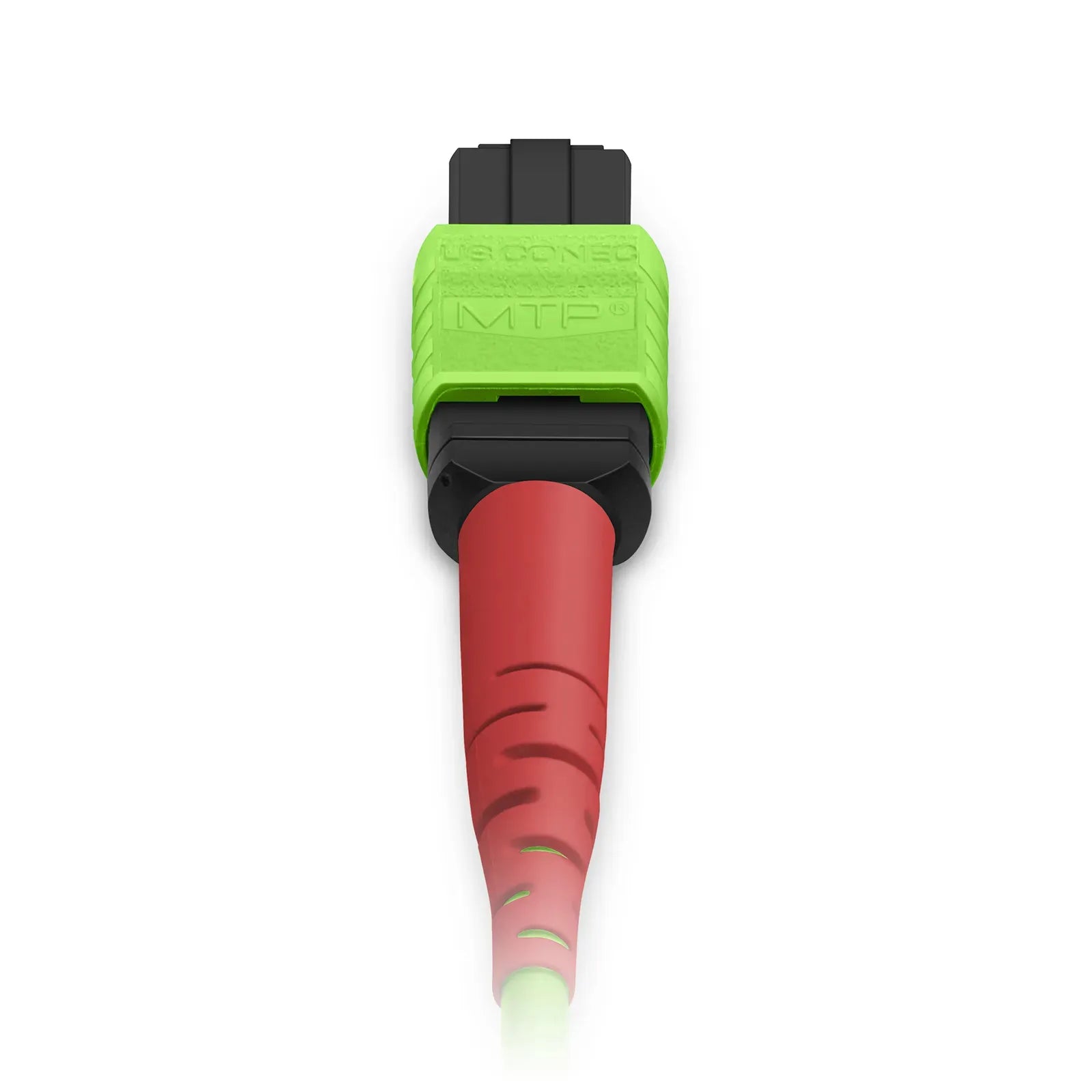 Customized MTP® Jumper, MTP®-24 UPC (Female) to MTP®-24 UPC (Female), 24 Fibers, Multimode (OM3), Plenum (OFNP), 0.35dB Max, Type A