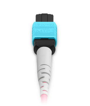 MTP® Harness, MTP®-8 UPC (Female) to 4 x LC UPC Duplex, 8 Fibers, Multimode (OM4), Plenum (OFNP), 0.35dB Max, Type B