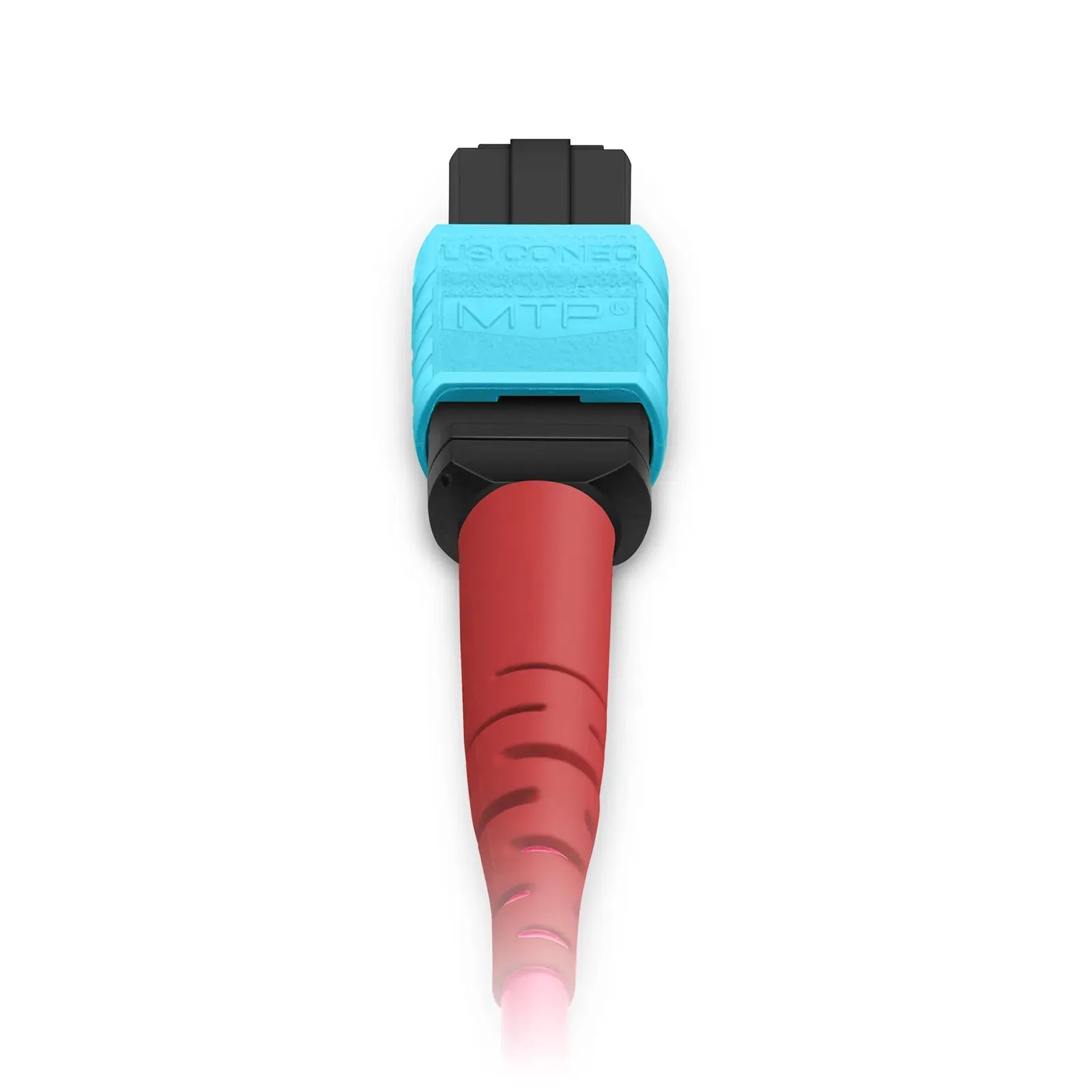 MTP® Breakout Cable, MTP®-24 UPC (Female) to 2 x MTP®-12 UPC (Female), 24 Fibers, Multimode (OM4), Plenum (OFNP), 0.35dB Max, Type A