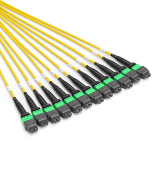 30m (98ft) MTP® Pigtail Trunk Cable, MTP-12® APC (Male) to Unterminated, 144 Fibers, Single Mode (OS2), LSZH, 0.35dB Max, Double Jacket
