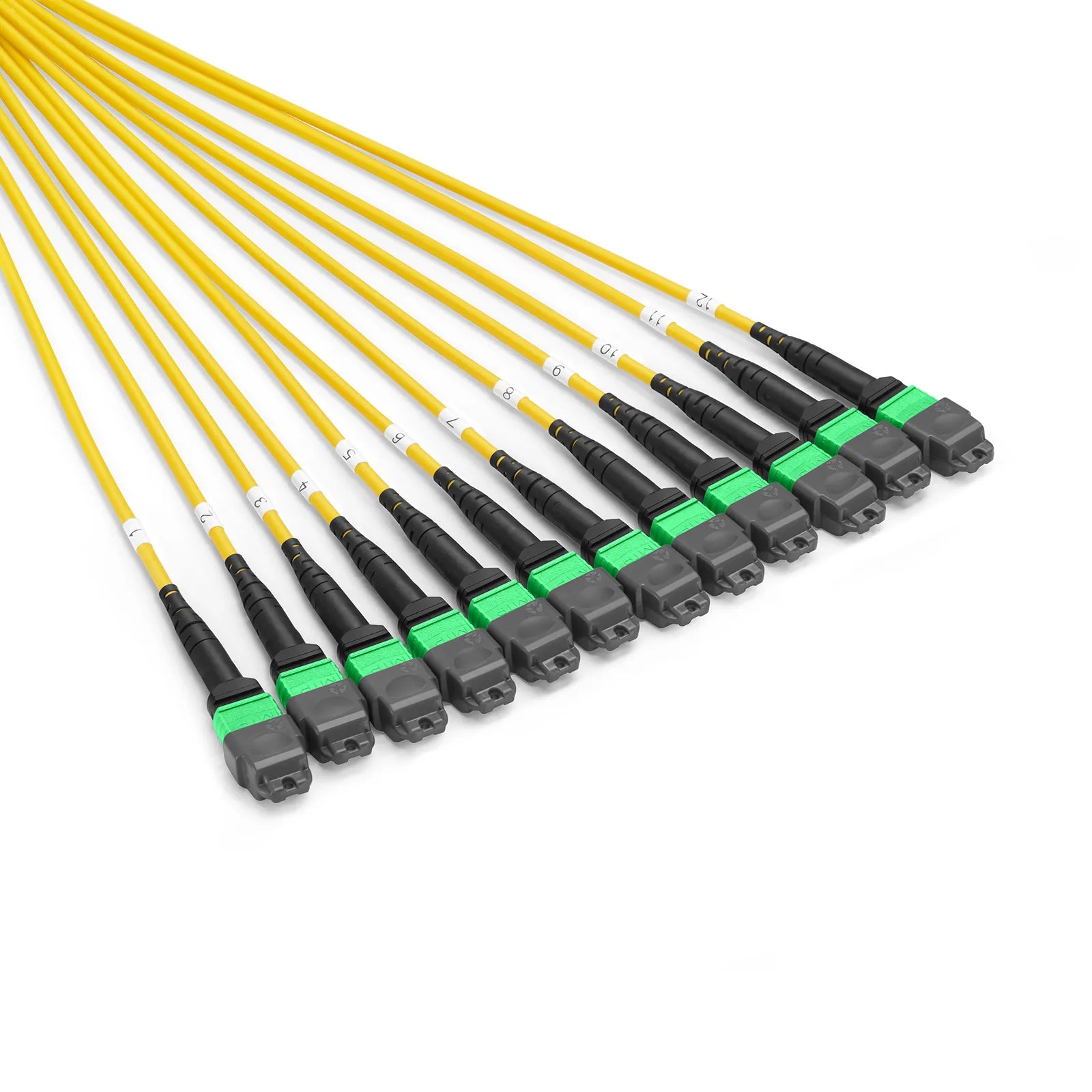 30m (98ft) MTP® Pigtail Trunk Cable, MTP-12® APC (Male) to Unterminated, 144 Fibers, Single Mode (OS2), LSZH, 0.35dB Max, Double Jacket