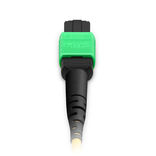 30m (98ft) MTP® Pigtail Trunk Cable, MTP-12® APC (Male) to Unterminated, 144 Fibers, Single Mode (OS2), LSZH, 0.35dB Max, Double Jacket