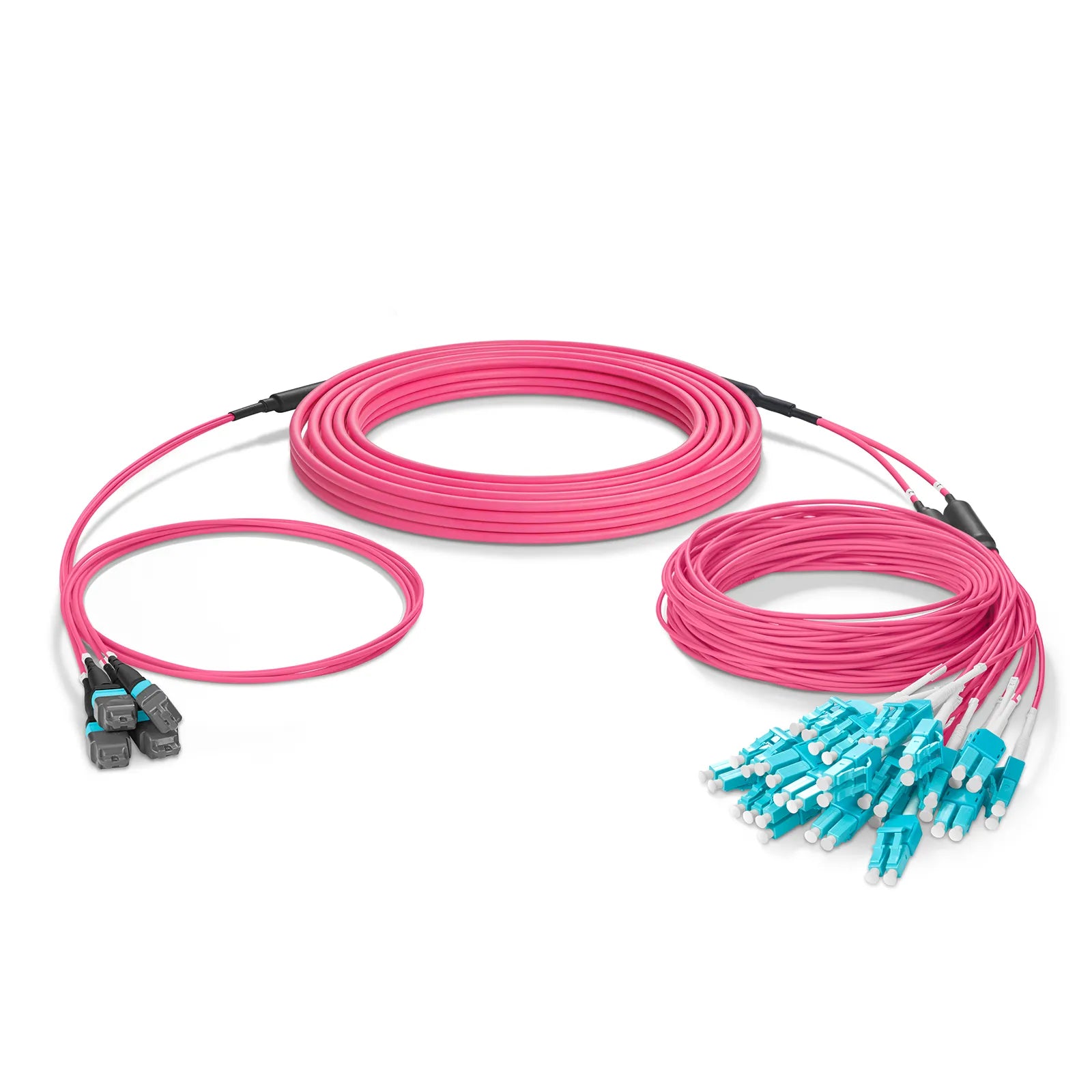 MTP® Hybrid Trunk Cable, MTP®-12 UPC (Female) to 6 LC UPC Duplex Uniboot, 48 Fibers, Multimode (OM4), Plenum (OFNP), 0.20dB Max, Type B, Double Jacket