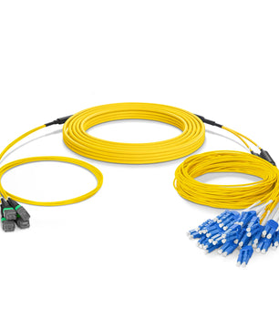 MTP® Hybrid Trunk Cable, MTP®-12 UPC (Female) to 6 LC UPC Duplex Uniboot, 48 Fibers, Multimode (OM4), Plenum (OFNP), 0.20dB Max, Type B, Double Jacket