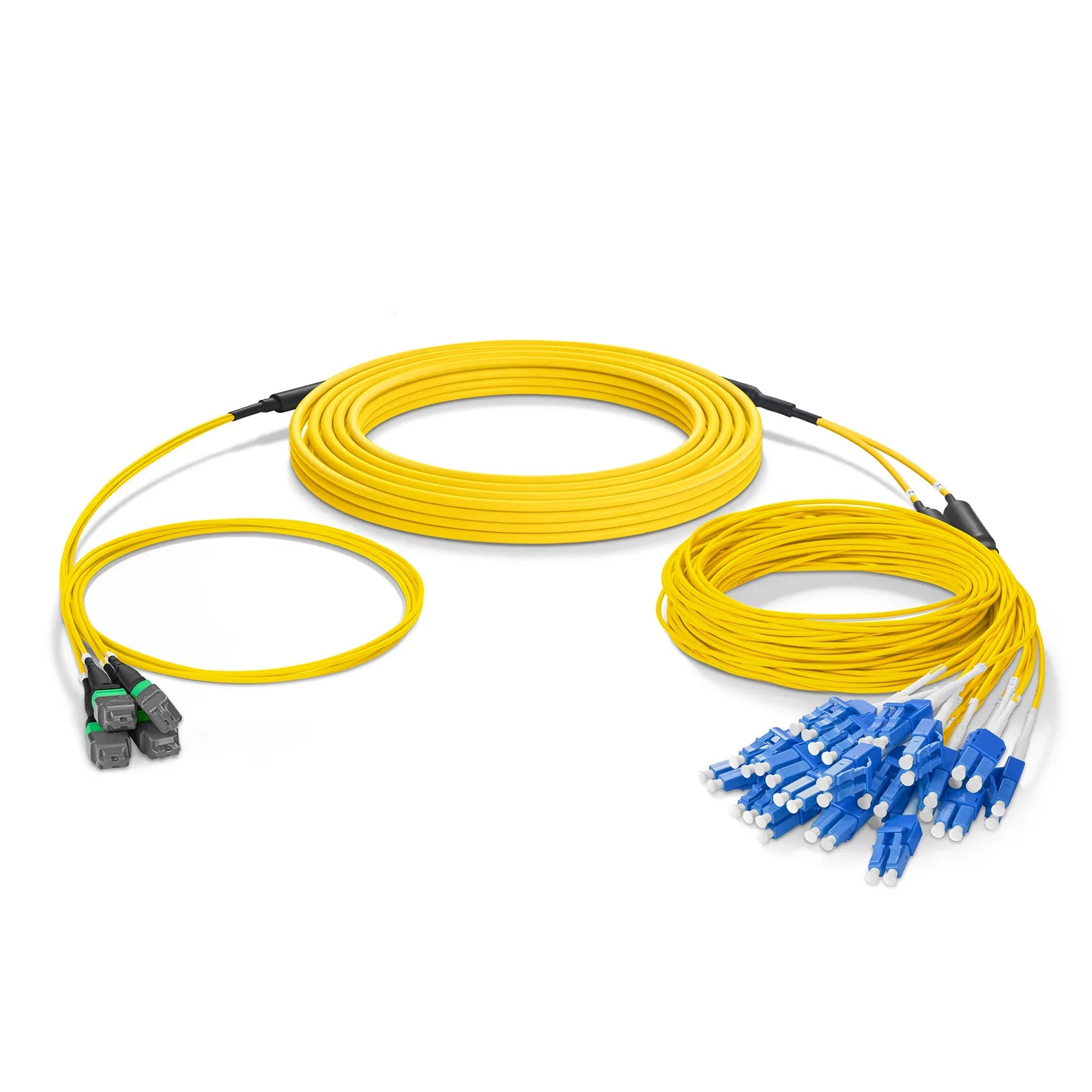 MTP® Hybrid Trunk Cable, MTP®-12 UPC (Female) to 6 LC UPC Duplex Uniboot, 48 Fibers, Multimode (OM4), Plenum (OFNP), 0.20dB Max, Type B, Double Jacket