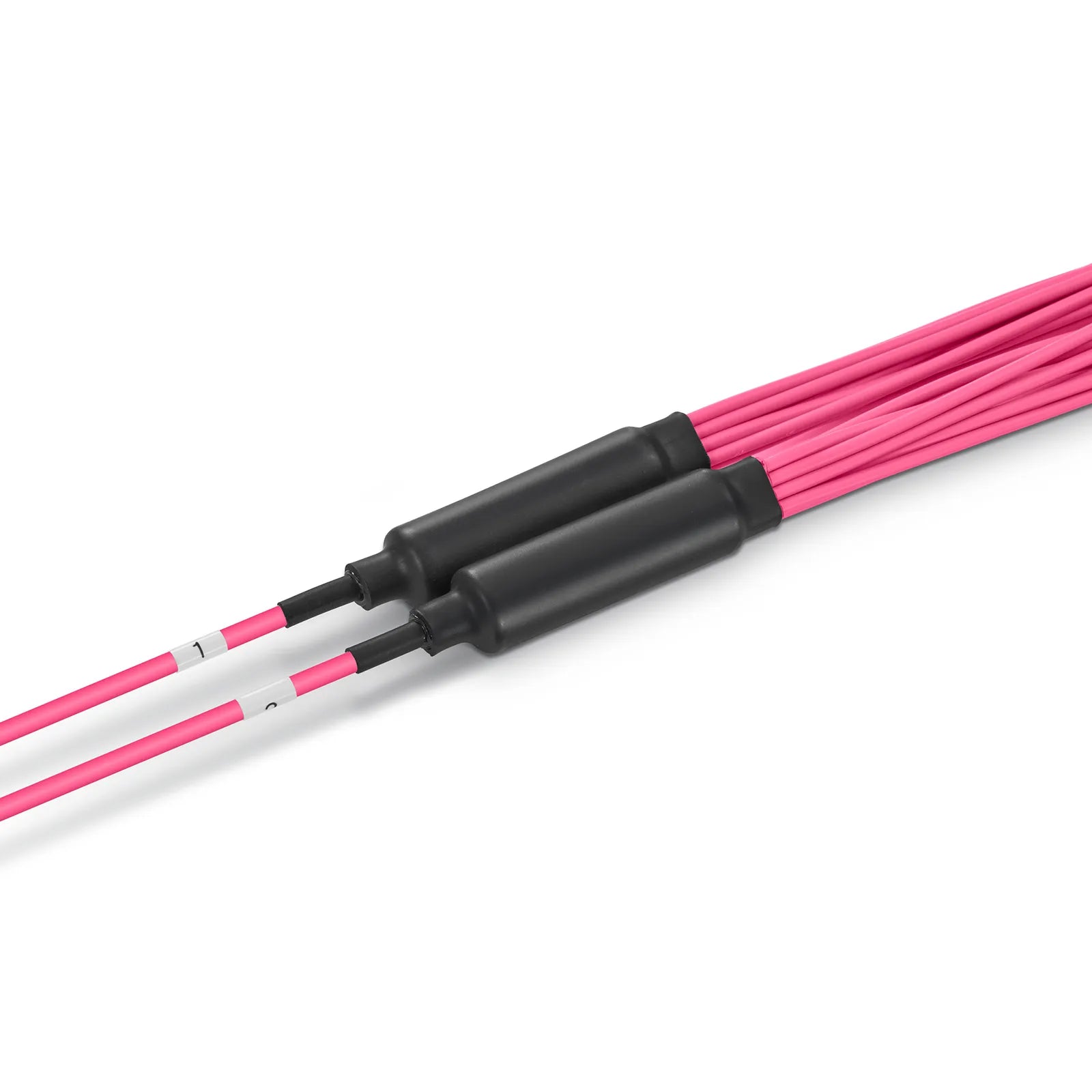 MTP® Hybrid Trunk Cable, MTP®-12 UPC (Female) to 6 LC UPC Duplex Uniboot, 48 Fibers, Multimode (OM4), Plenum (OFNP), 0.20dB Max, Type B, Double Jacket
