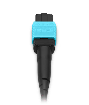 Customized MTP® Jumper, MTP®-12 APC (Female) to MTP®-12 APC (Female), 12 Fibers, Single Mode (OS2), Plenum (OFNP), 0.35dB Max, Type B
